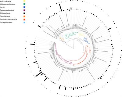 A Defined Medium for Cultivation and Exometabolite Profiling of Soil Bacteria
